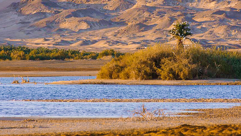 Lake Marun In Bahariya Oasis - White & Black Desert Adventure