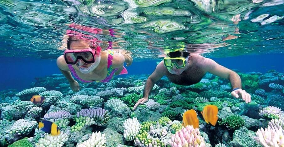 Boats, Snorkeling & Dolphins