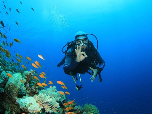 Taucher umgeben von bunten Fischen