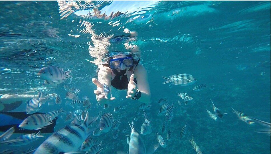 Snorkeling with colorful fish