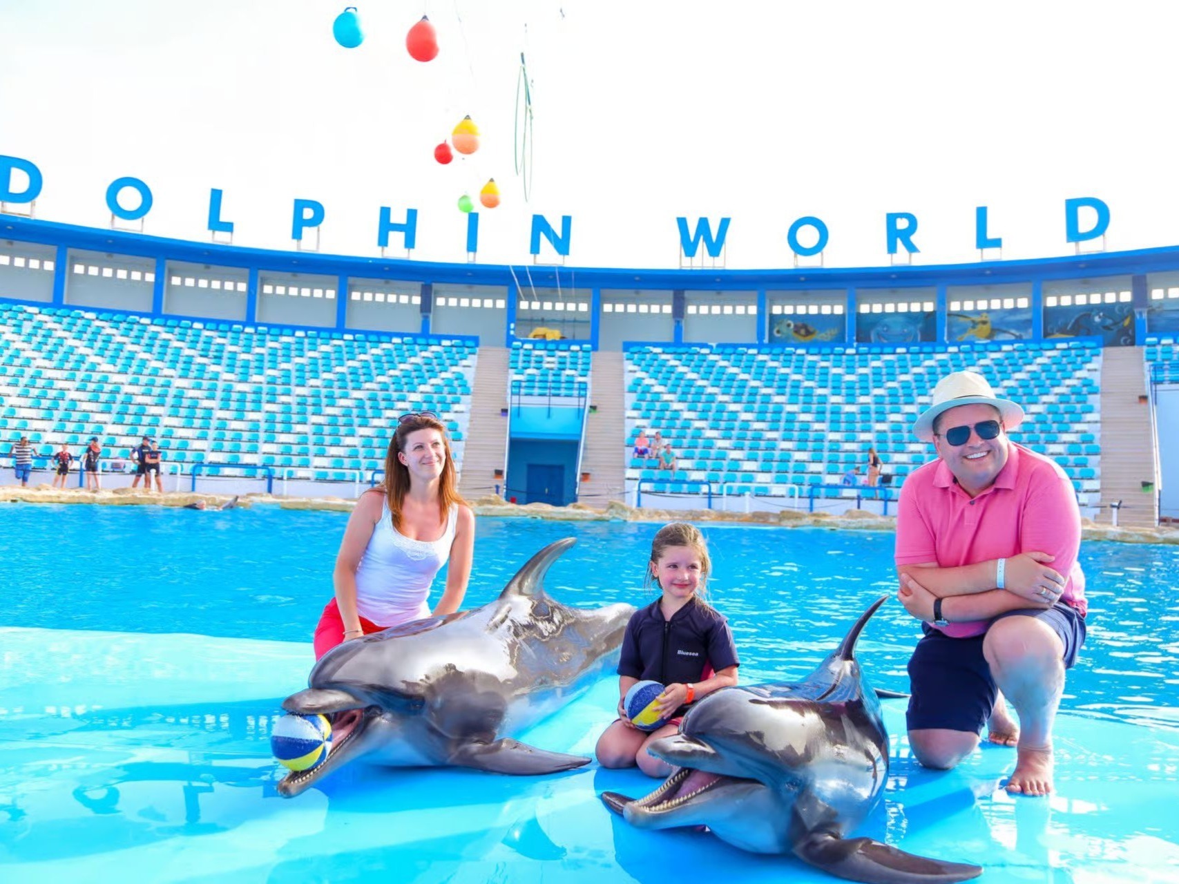 Dolphin show arena