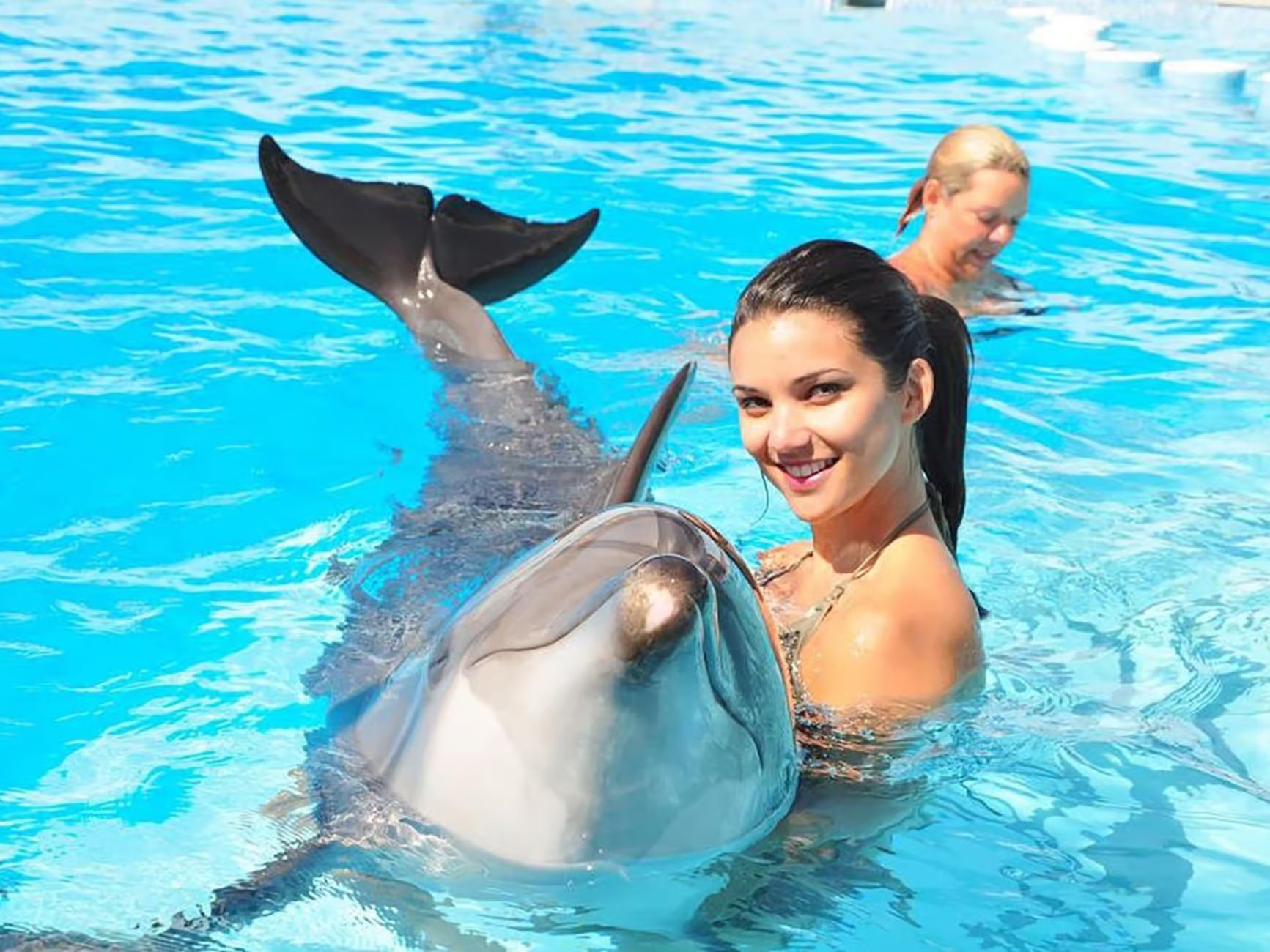 Swimming with dolphin close interaction