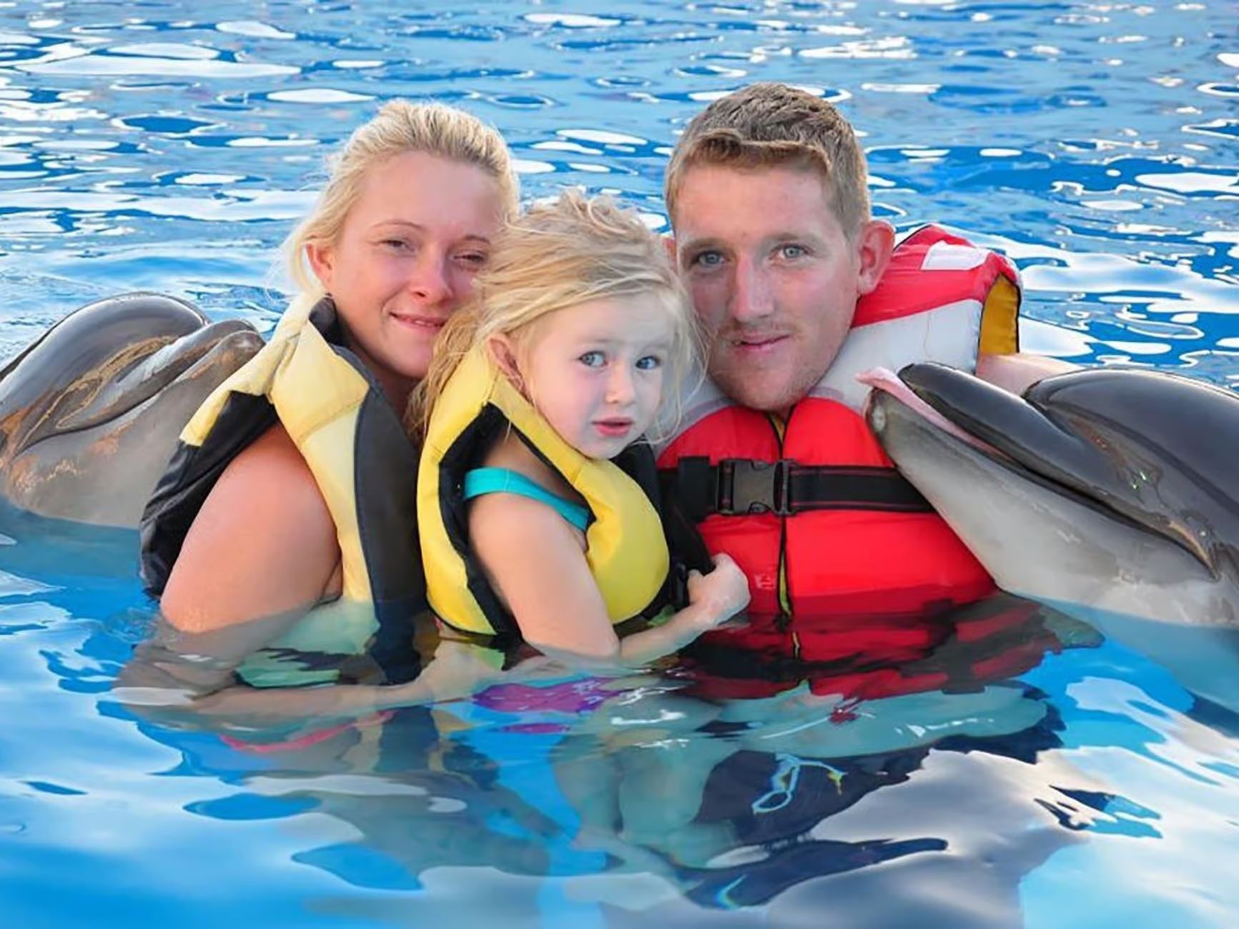 Family swimming with dolphins
