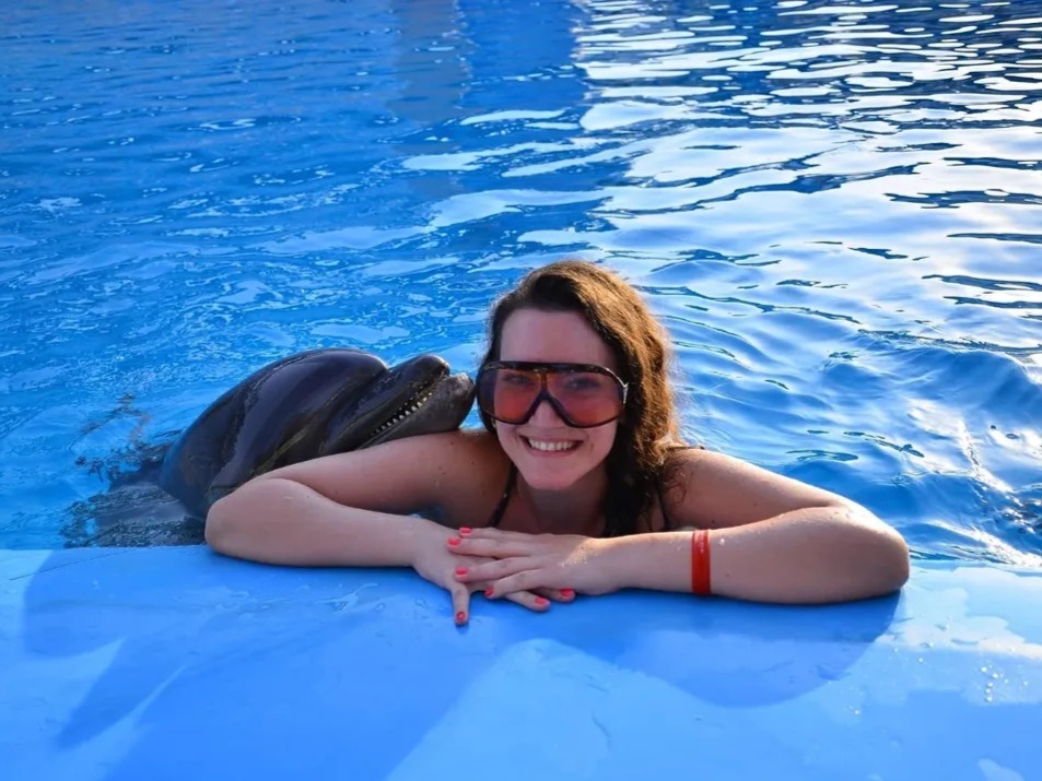 Guest interacting with dolphin