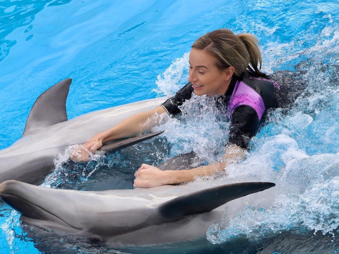 Swimming with dolphins action