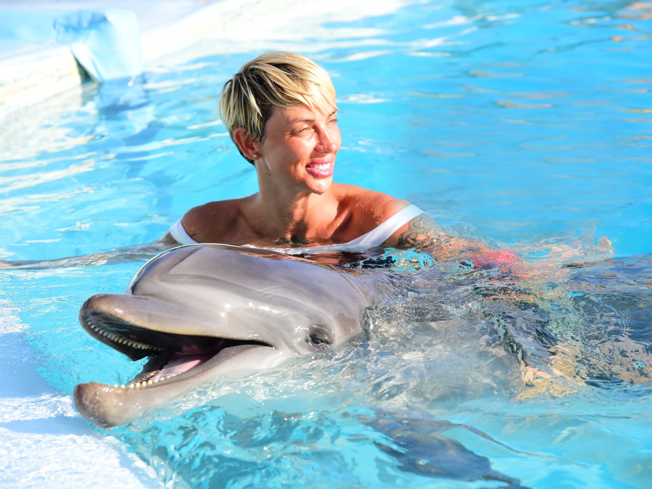 Gast genießt das Schwimmen mit Delfinen