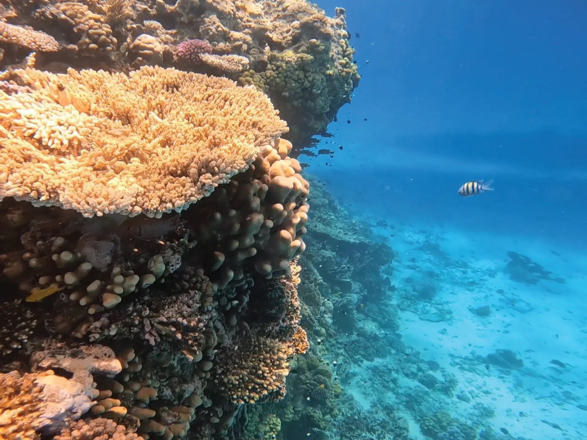 Gäste genießen das flache Wasser der Orange Bay