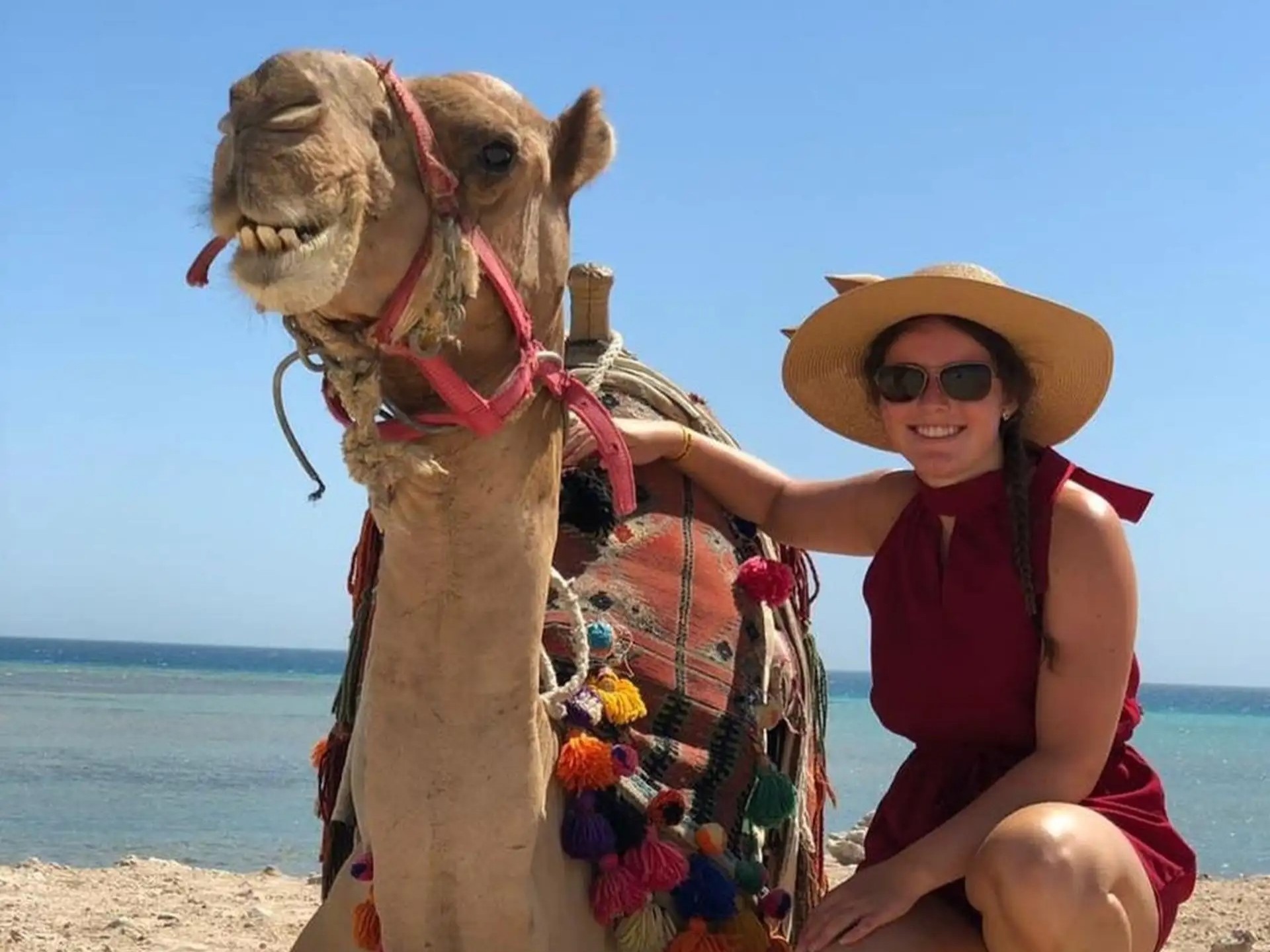 Camel ride at sunset
