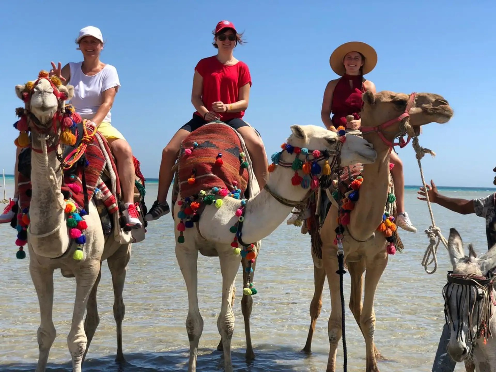 Camel caravan