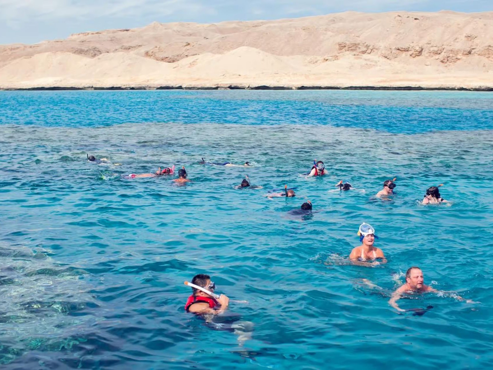 Group snorkeling near coral reef with desert coastline in background