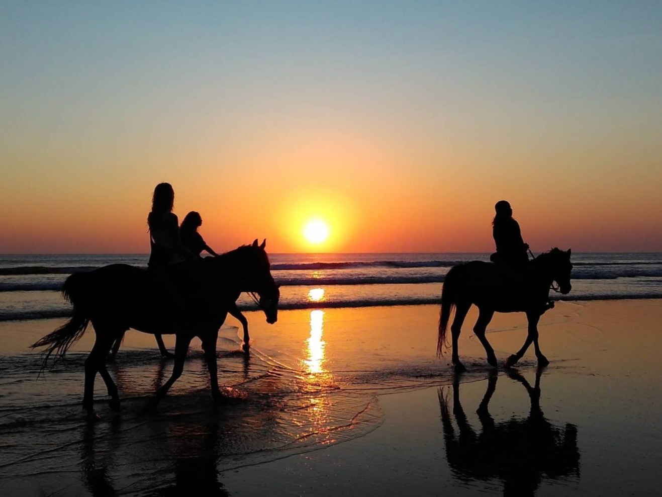 Horse riders walking through shallow sea water