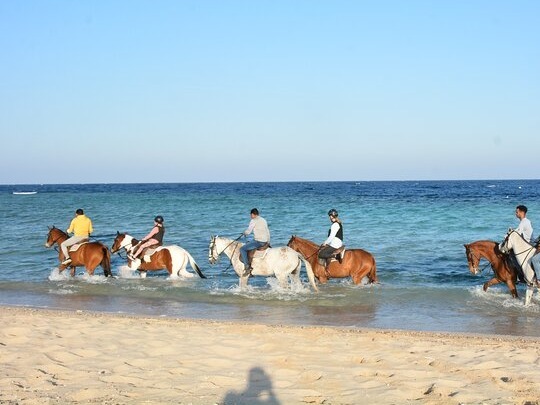 Group horseback riding along sandy beach shoreline