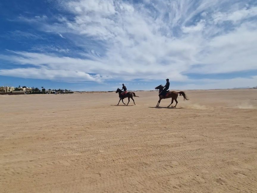 Two riders on horses crossing shallow reef water
