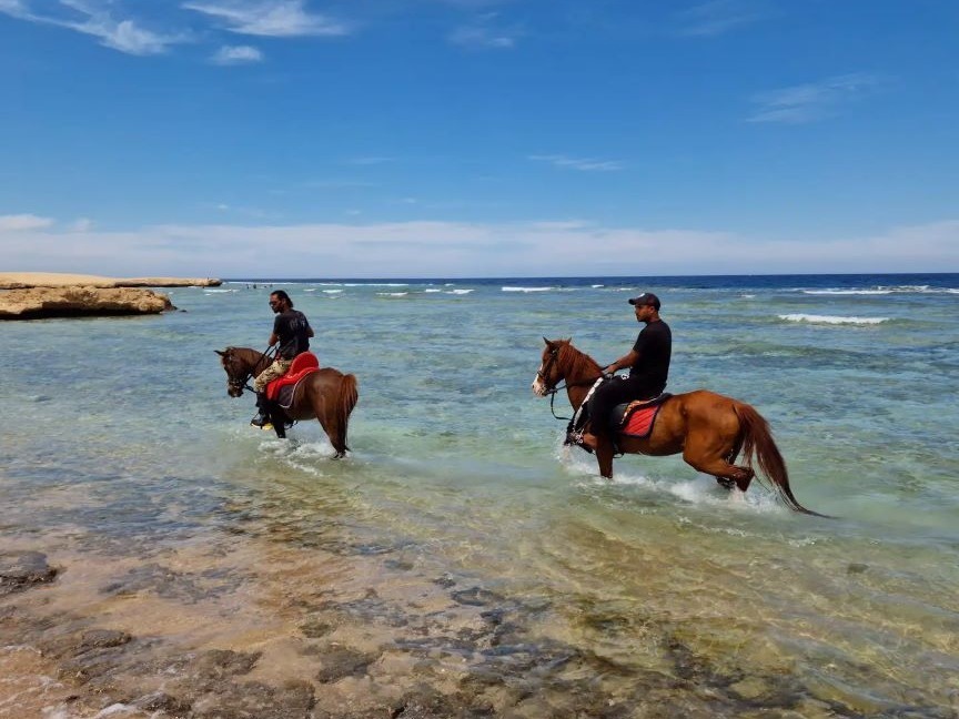 Riders entering the sea on horseback from behind