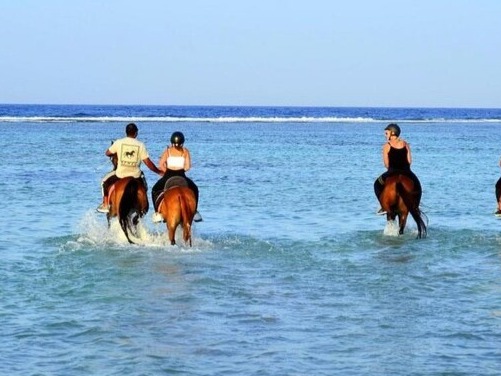 Silhouette of horseback riders at sunset by the sea