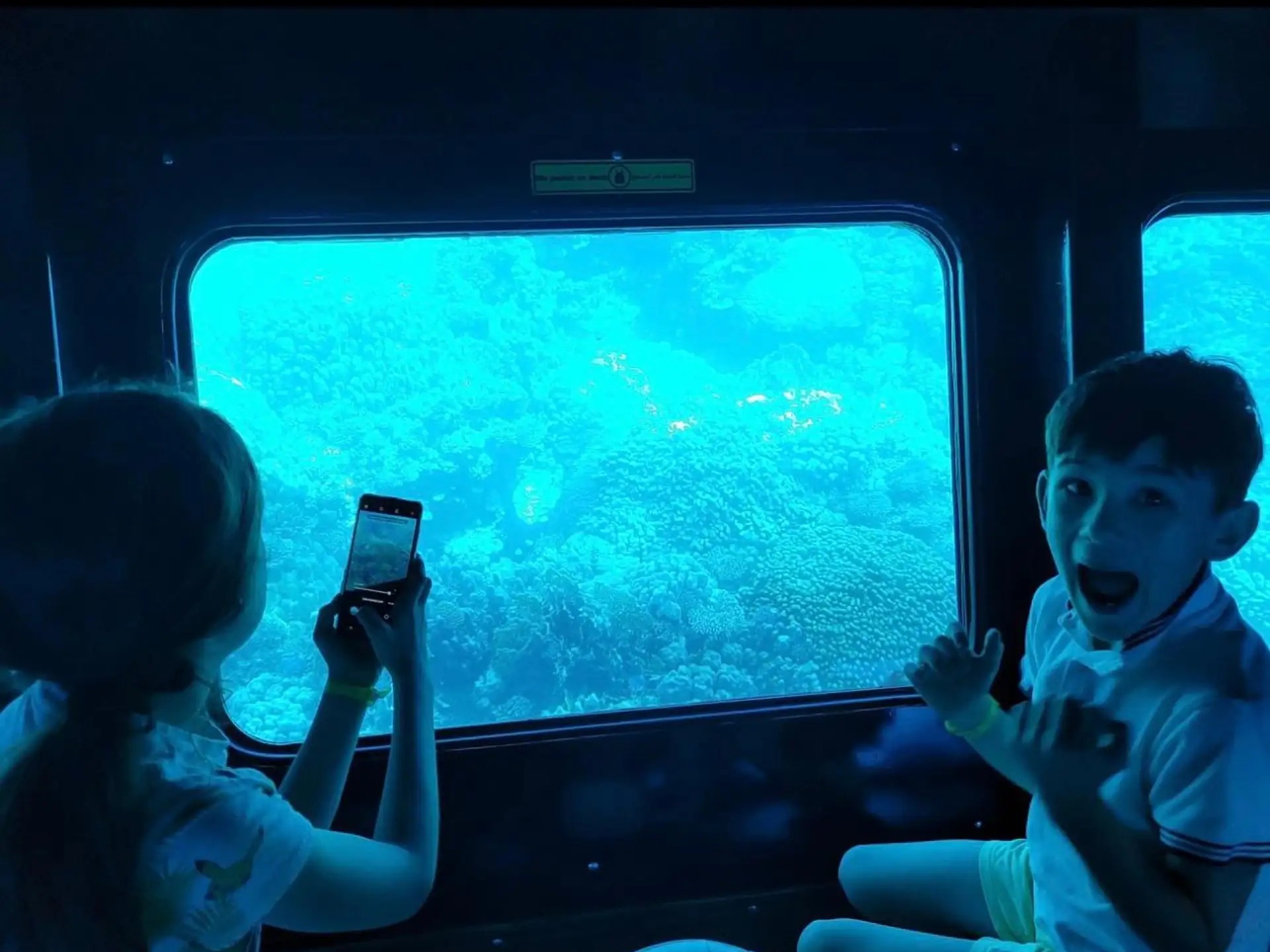 Kids watching coral reef through underwater glass window