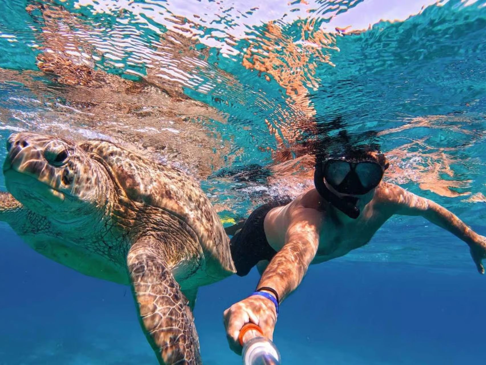 Snorkeler swimming next to a sea turtle underwater