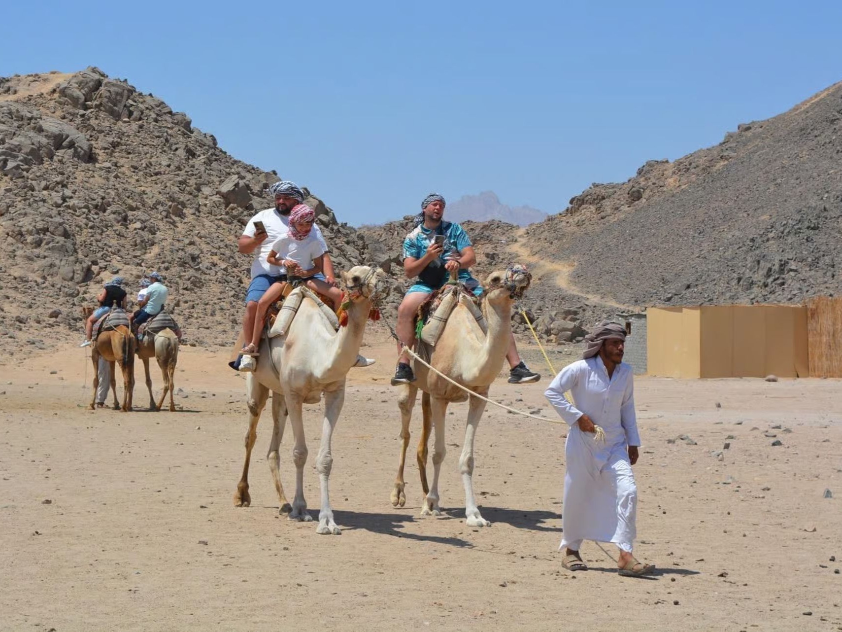 Sunset over the desert with camel caravan