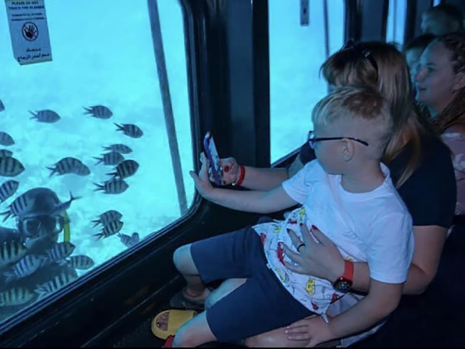 Child watching fish through underwater window