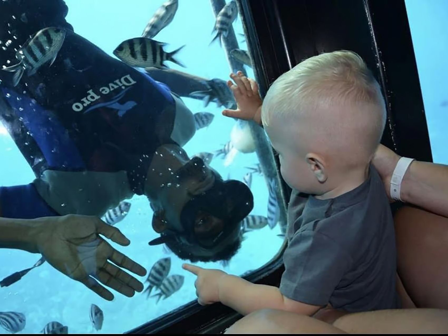 Diver interacting with child through glass