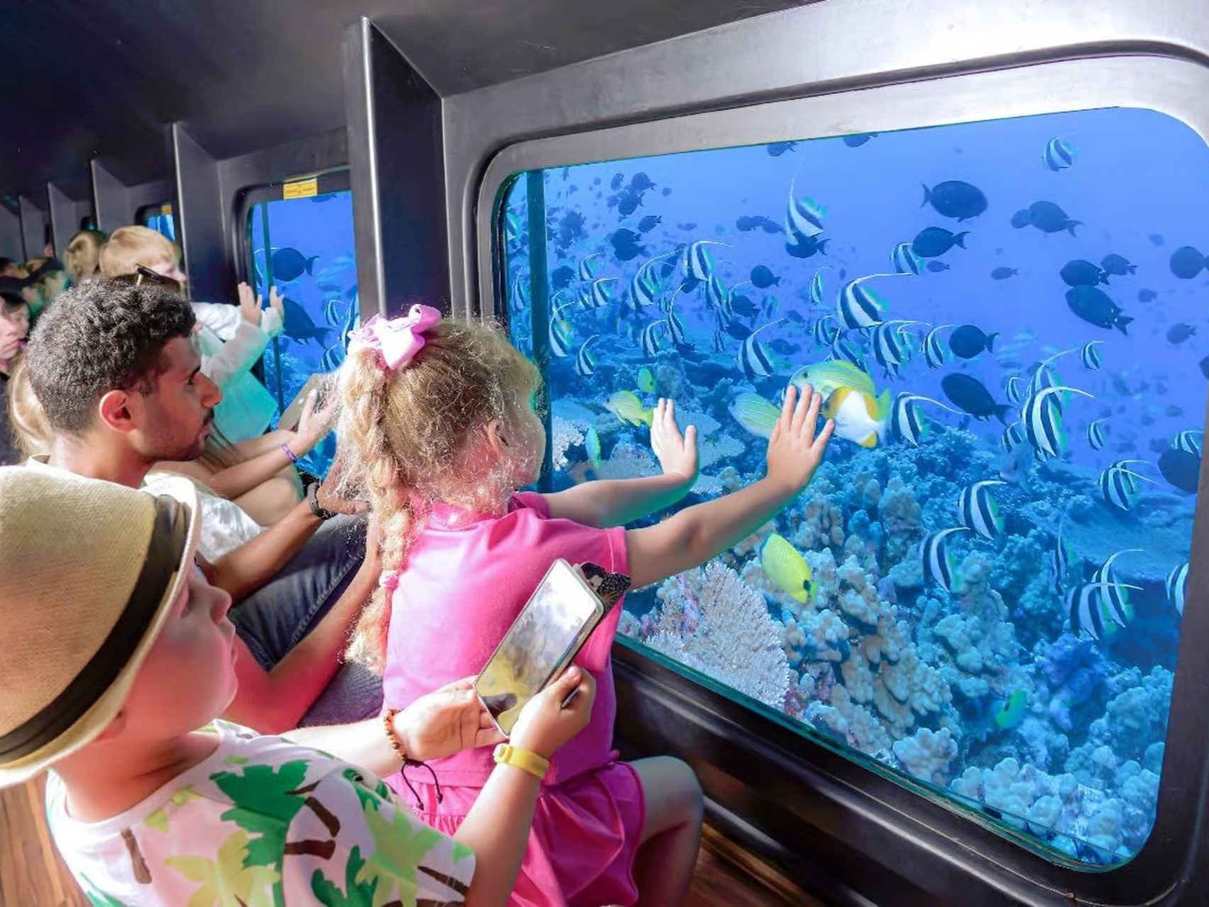 Children watching colorful reef fish