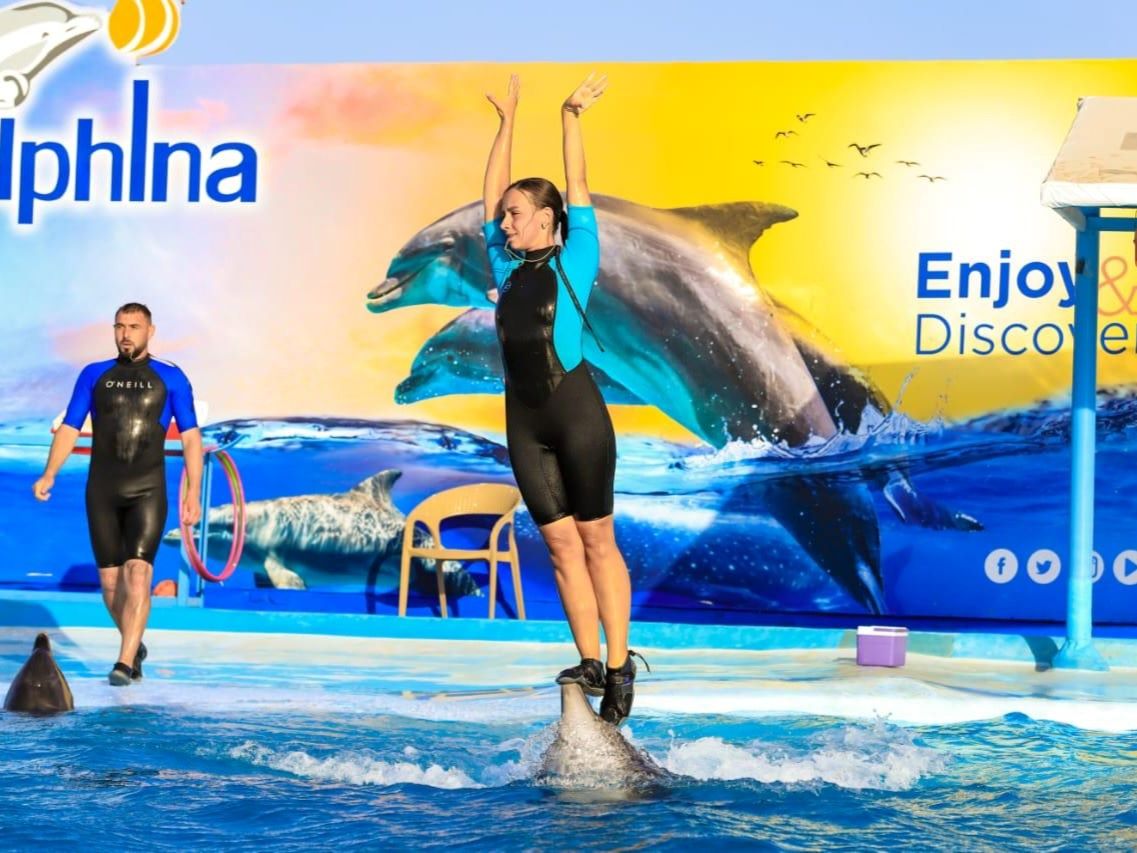 Trainer riding a dolphin during the show