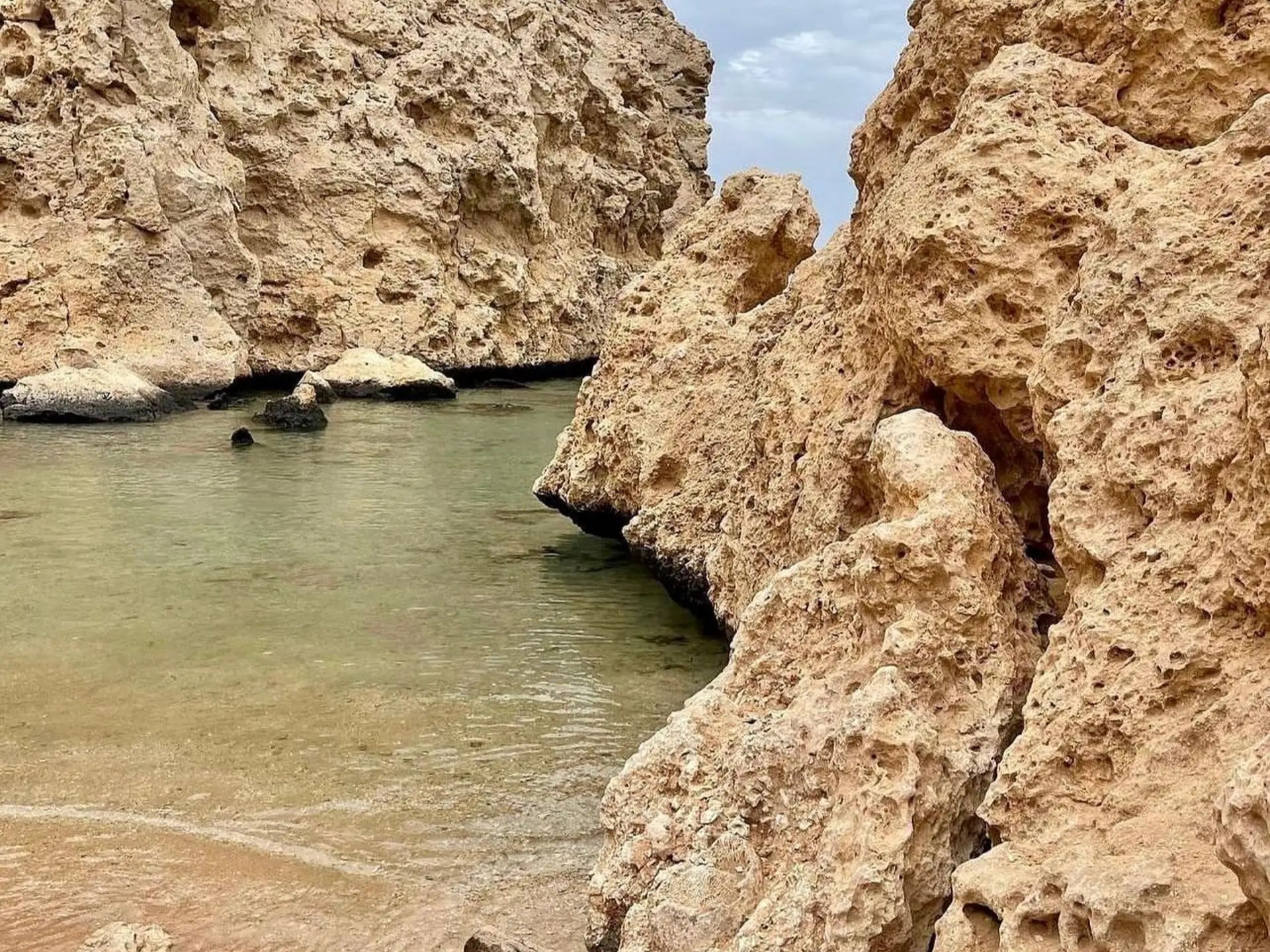 Rocky shoreline at Ras Mohammed