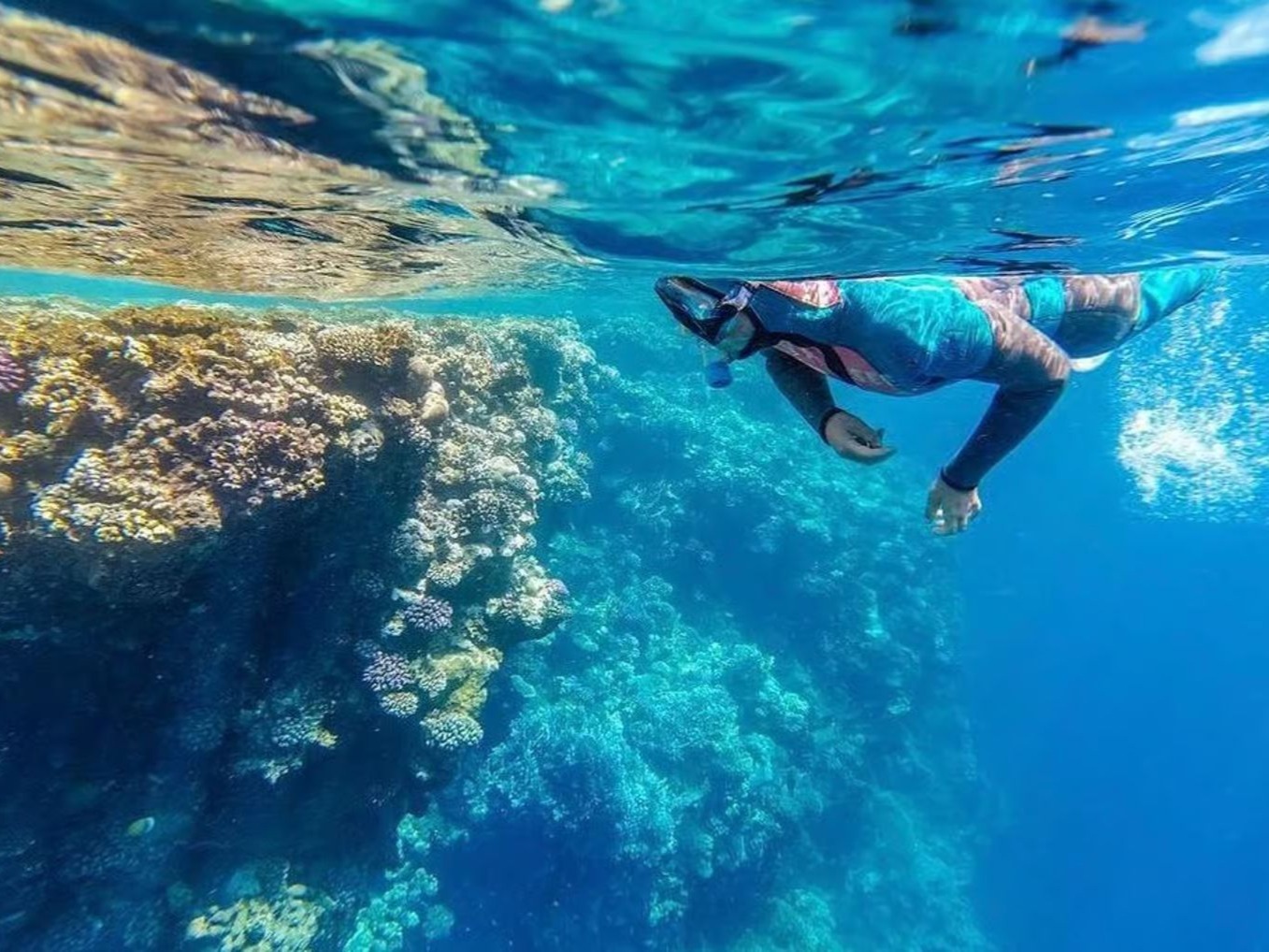 Snorkeller above a coral reef