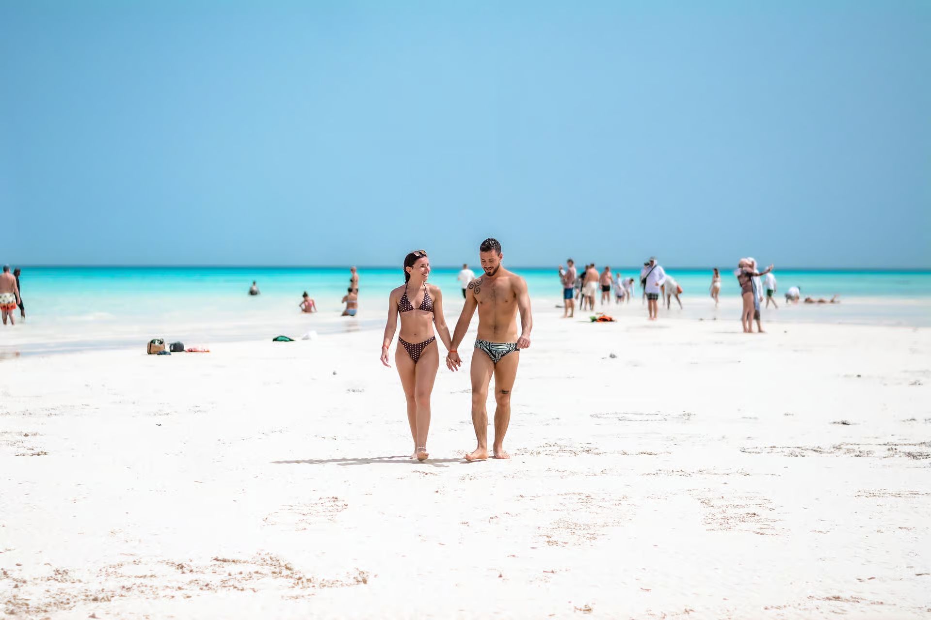 Sea Trip Ras Mohamed gallery photo 22