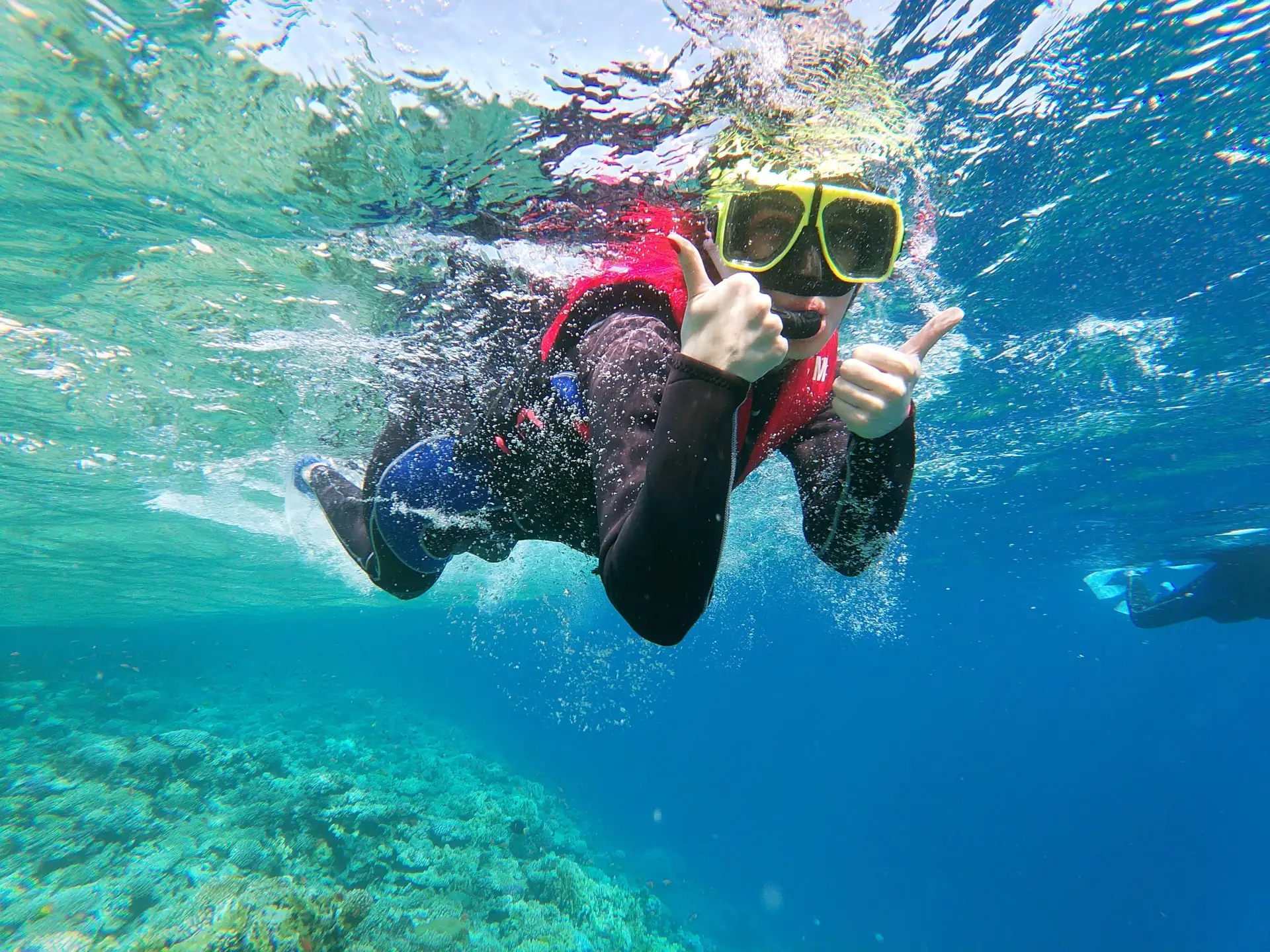 Sea Trip Ras Mohamed gallery photo 29